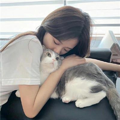 百花盛放